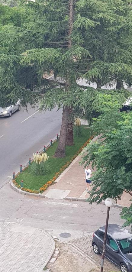 Apartman Na Najboljoj Lokaciji , Nedaleko Od Plaze Bar Buitenkant foto
